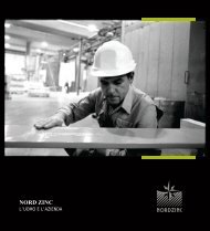 Copertina - Nord Zinc