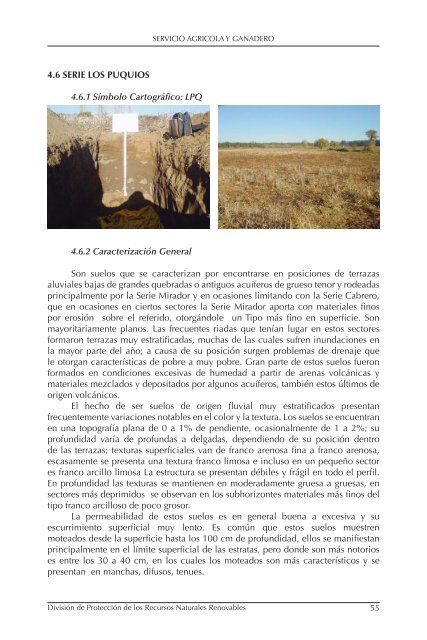 Descargar - Servicio AgrÃ­cola y Ganadero