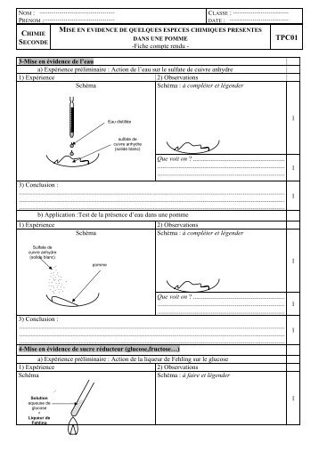 Fiche compte rendu - S. Tatulli