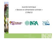 La banane dans l'alimentation animale - TransFAIRE - Inra