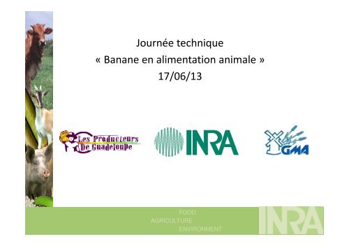 La banane dans l'alimentation animale - TransFAIRE - Inra