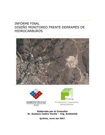 informe final diseÃ±o monitoreo frente derrames de hidrocarburos