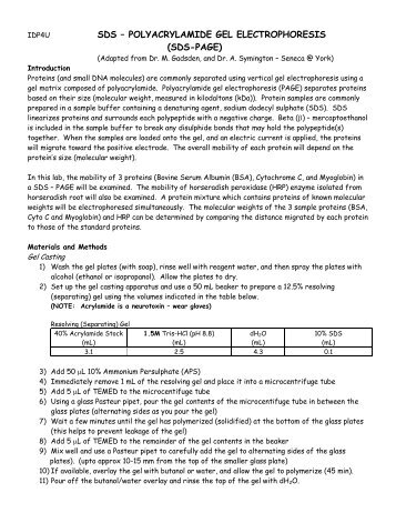 sds – polyacrylamide gel electrophoresis - Ontario Genomics Institute