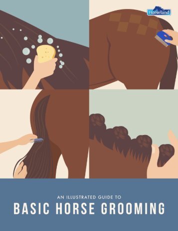 An Illustrated Guide to Basic Horse Grooming