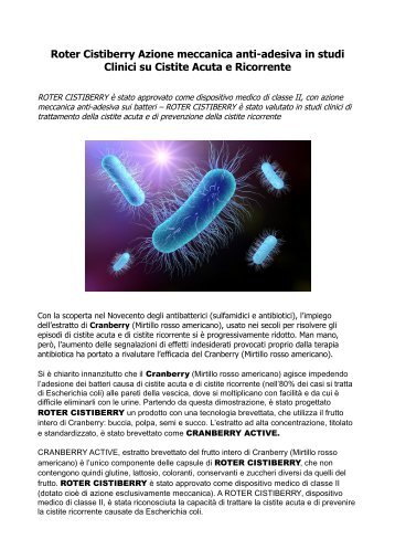 Cistite acuta ricorrente, Roter Cistiberry Azione meccanica anti-adesiva