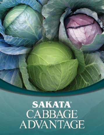 Blue Vantage F1 - Sakata Vegetables