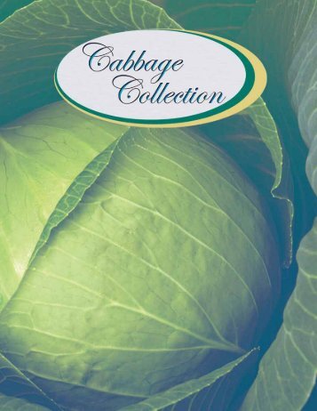 Sakata Cabbage Collection Brochure - Sakata Vegetables