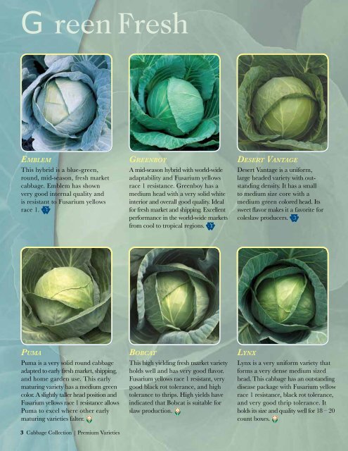 Sakata Cabbage Collection Brochure - Sakata Vegetables
