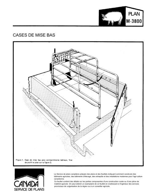 Avantages et inconvenients des cages de mise bas
