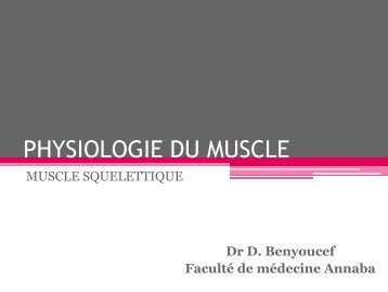 Physiologie du muscle