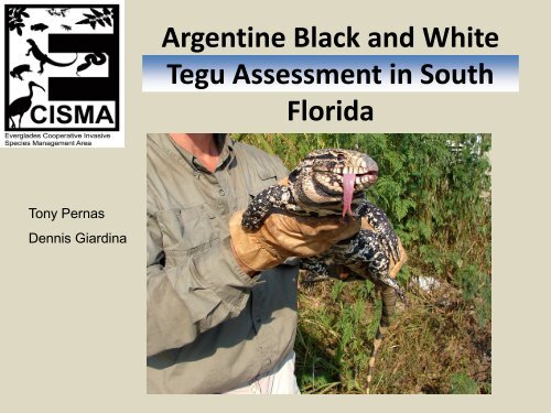 https://img.yumpu.com/52214288/1/500x640/argentine-black-and-white-tegu-assessment-in-south-florida.jpg