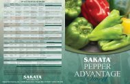 SWEET PEPPER HYBRIDS - Sakata Vegetables