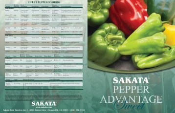 SWEET PEPPER HYBRIDS - Sakata Vegetables
