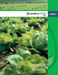 FarMore FI400 Leafy - Sakata Vegetables