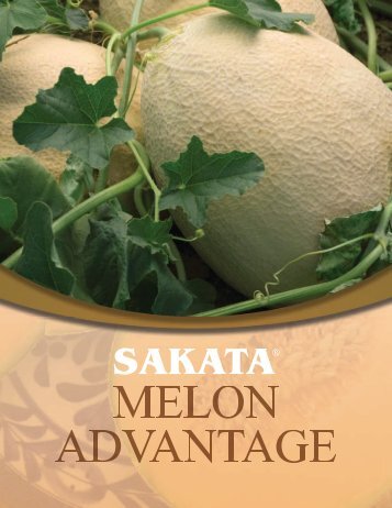 Sakata Melon Advantage Brochure - Sakata Vegetables
