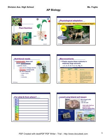 chapter 37 plant nutrition.pdf - Lincoln AP Biology - home