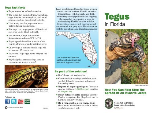 Tegus in Florida brochure 2012 - Everglades Cooperative Invasive ...