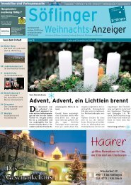 Söflinger Weihnachts-Anzeiger vom Dezember 2012 (PDF 13,2 MB)