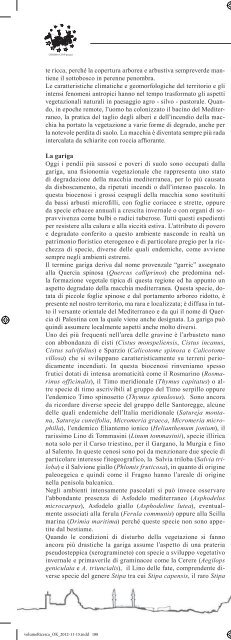 habitat rupestre.pdf - SocietÃ  Friulana di Archeologia