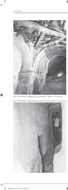 habitat rupestre.pdf - SocietÃ  Friulana di Archeologia