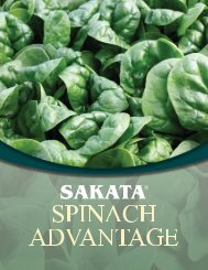 Sakata Spinach Advantage Brochure - Sakata Vegetables