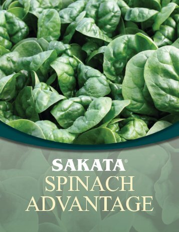 Sakata Spinach Advantage Brochure - Sakata Vegetables