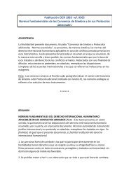 Normas fundamentales de los Convenios de Ginebra y de sus ...