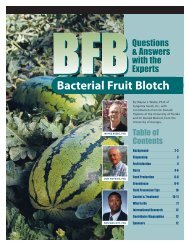 Bacterial Fruit Blotch - SeedQuest