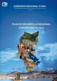 Plan de Desarrollo Regional Concertado al 2021 - Gobierno ...