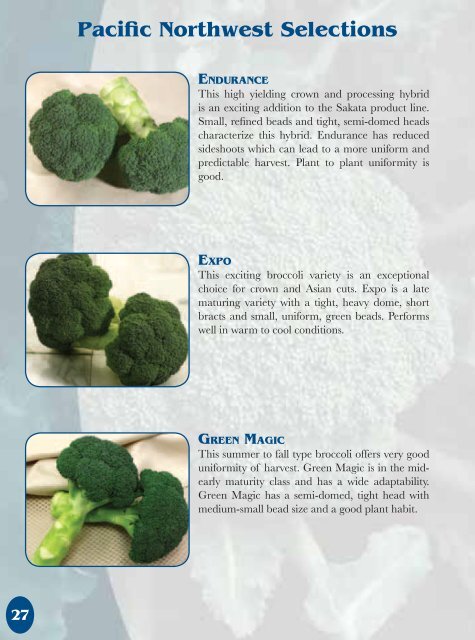 Broccoli Master - Sakata Vegetables