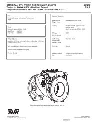 AMERICAN AVK SWING CHECK VALVE, 250 PSI 41 ... - rymca.com