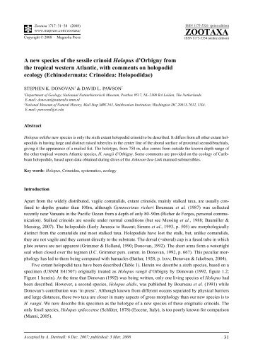Zootaxa, A new species of the sessile crinoid ... - Magnolia Press