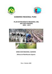 Plan EstratÃ©gico Regional del Sector Agrario 2009 - 2015 de Puno.