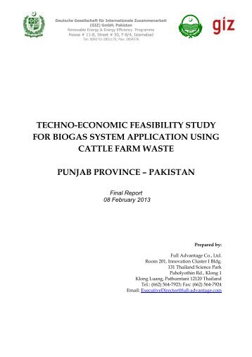 techno-economic feasibility study for biogas system application ...