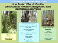 Seminole Tribe - Everglades Cooperative Invasive Species ...