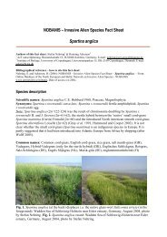 NOBANIS fact sheet - Spartina anglica - introduction