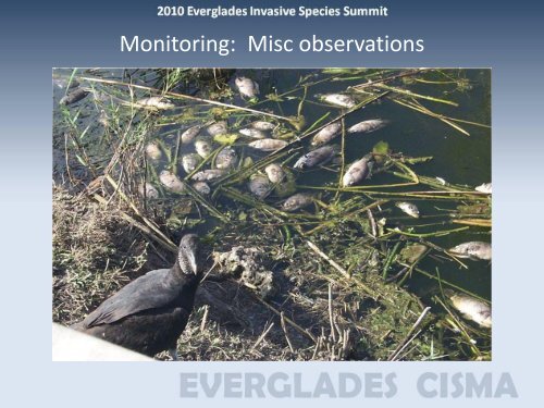 Everglades National Park (Fish) - Everglades Cooperative Invasive ...