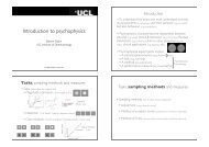 Introduction to psychophysics