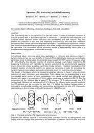 Highly Filled Polymers At Zentrum Fur Brennstoffzellentechnik