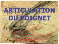 Articulation du poignet