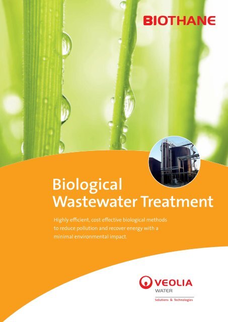 Biological Wastewater Treatment - Veolia Water