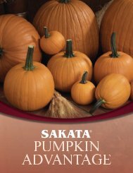 Pumpkins - Sakata Vegetables