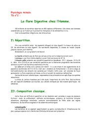 La flore digestive