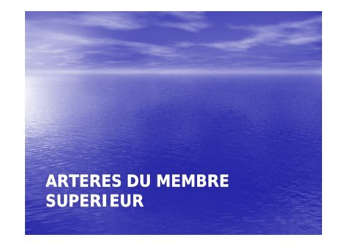 Artères du membre supérieur