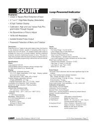 KEP SQUIRT Ratemeter / Totalizer Datasheet PDF (79 KB) - Instrumart