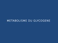 Métabolisme du glycogène