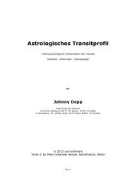 Astrologisches Transitprofil