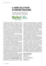 Il cuore della pietra in continua evoluzione (Ticino Business - 02/2012)