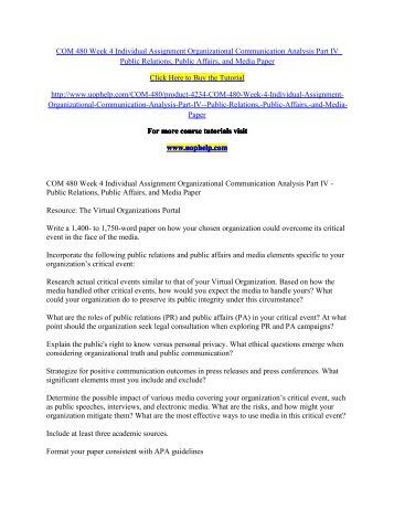 Organizational analysis paper