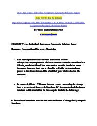 COM 530 Week 4 Individual Assignment Synergetic Solutions Report